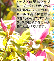 ȥåפȱϥåץࡼ֤Ω夬餻ʤݤߤΥ륨åȤˡϹ⤤֤礭ͤ餻ơ꡼åηڤ䤫ʥ봶˻ž夲Ƥޤ