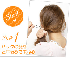 Step1:Хåȱ򺸼«ͤ