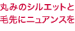 ݤߤΥ륨åȤ˥˥奢󥹤