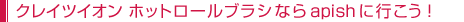 쥤ĥ ۥåȥ֥饷ʤapish˹Ԥ