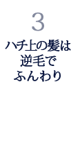 3.ハチ上の髪は逆毛でふんわり 3.ハチ上の髪は逆毛でふんわり