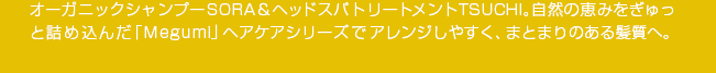 ˥åסSORAإåɥѥȥ꡼ȥTSUCHIηäߤ򤮤äȵͤMegumiץإ꡼ǥ󥸤䤹ޤȤޤΤȱء