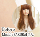 Before/Model : SAKURAI