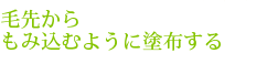 褫߹褦ۤ