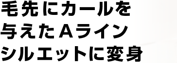˥ͿA饤󥷥륨åȤѿ