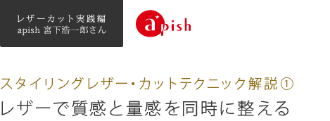 󥰥쥶åȥƥ˥å⡡apishܲϺå쥶Ǽ̴Ʊ