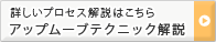 åץࡼ֥ƥ˥å⡡Xel-Ha ޥΩŪ«˥奢󥹤ΥХ󥰤