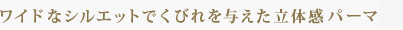 磻ɤʥ륨åȤǤӤͿΩδѡ