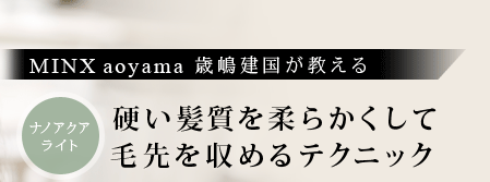 ʥΥ饤ȡMINX aoyama 񤬶롡Ťȱ餫ƥ˥å