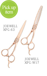ピックアップアイテム/JOEWELL XPG-63、JOEWELL XPG-W17