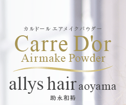 allys hair aoyamaκǽܥإ 磻ɥܥ塼Τ봬󥰡åɡ ᥤѥ