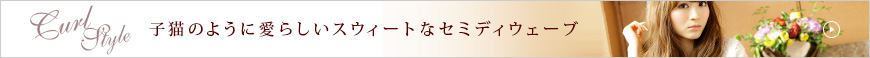 Curl StyleûǭΤ褦˰餷Ȥʥߥǥ