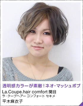 La.Coupe.hair comfort ܡʿҡƩ顼Ũͥޥåܥ