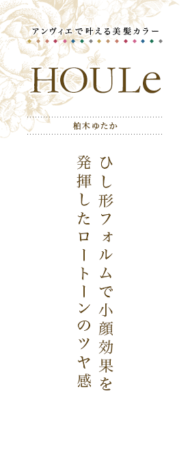 ǳ𤨤ȱ顼HOULeڤ椿ҤեǾ̤ȯȡΥĥ䴶