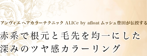 إ顼ƥ˥åALICe by afloatå˭Ĥ롡ַϤǺѰˤߤΥĥ䴶顼