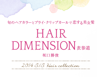 HAIR DIMENSION -ܤΥإ顼ȥ֥饤åץȱ2014ղƥإ쥯