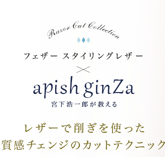 ե 󥰥쥶apish ginZaܲϺå쥶Ǻ冷Ȥä󥸤Υåȥƥ˥å