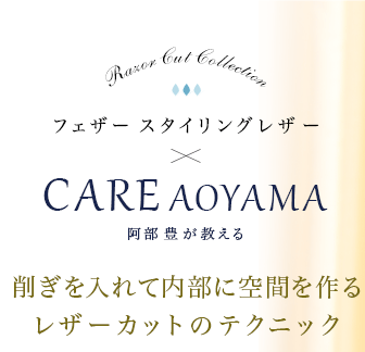 ե 󥰥쥶CARE AOYAMA˭ĹѤ̴ȼ쥶åȤΥƥ˥å