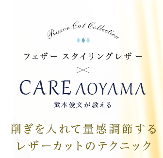 ե 󥰥쥶CARE AOYAMAܽʸú冷̴Ĵ᤹쥶åȤΥƥ˥å