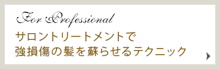 For Professionalȥ꡼ȥȤǶ»ȱɤ餻ƥ˥å