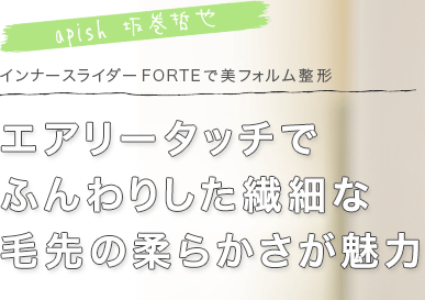 apish 䴬ů顡꡼åǤդꤷ٤ν餫̥ϡʡ饤 FORTEե