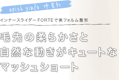 apish ginZa  ν餫ȼư塼Ȥʥޥå奷硼ȡʡ饤 FORTEե