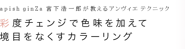 apish ginZa ܲϺ ƥ˥å٥󥸤ǿ̣äƶܤʤ顼