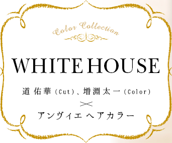 WHITEHOUSE ƻ ͤڡCutˡʥ Colorˡߥ إ顼