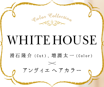 WHITEHOUSE  δCutˡʥ Colorˡߥ إ顼