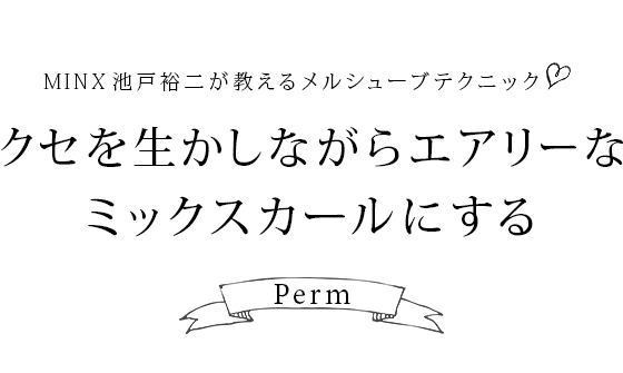 MINX Ӹ ͵󤬶륷塼֥ƥ˥å ʤ饨꡼ʥߥåˤPerm