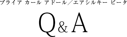 ץ饤  ɡ/륭 ӡ QA