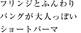 ե󥸤ȤդХ󥰤ͤäݤ硼ȥѡ
