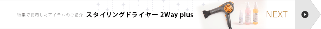 󥰥ɥ饤䡼 2Way plusýǻѤƥΤҲNext