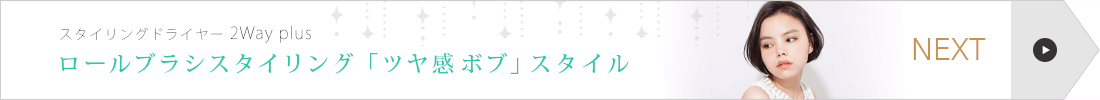 󥰥ɥ饤䡼 2Way plus ֥饷󥰡֥ĥ䴶ܥ֡ץNext