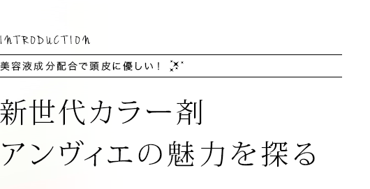 INTRODUCTION Ʊʬ۹Ƭͥ 奫顼ޥ̥Ϥõ