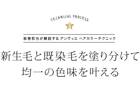 TECHNICAL PROCESS 䴬ů餬⤹  إ顼ƥ˥å ӤȴӤɤʬƶѰο̣𤨤