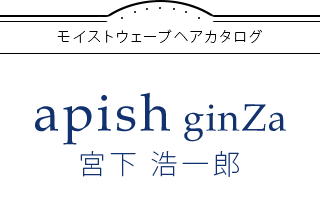 ⥤ȥ֥إapish ginZa ܲ Ϻ