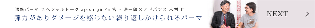 Ϥ᡼򴶤ʤ֤ѡޡüǮѡ ʥΥǥå ڥȡ apish ginZa ܲ ϺߥɥХ ¼ ΡNext