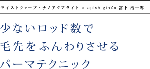 ʤåɿդꤵѡޥƥ˥å|⥤ȥ֡ʥΥ  apish ginZa ܲ Ϻ