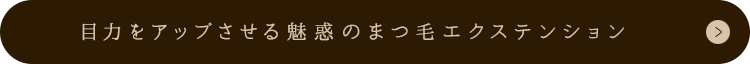 Ϥ򥢥åפ̥ǤΤޤӥƥ󥷥