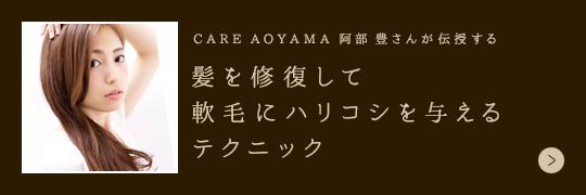 CARE AOYAMA  ˭ ȱӤ˥ϥꥳͿƥ˥å