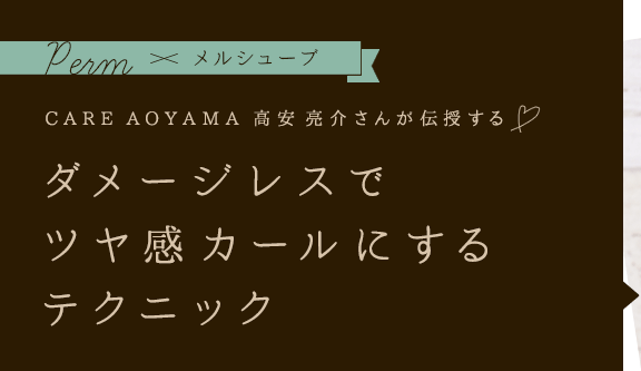 Permߥ륷塼 CARE AOYAMA  μ𤵤 ᡼쥹ǥĥ䴶ˤƥ˥å