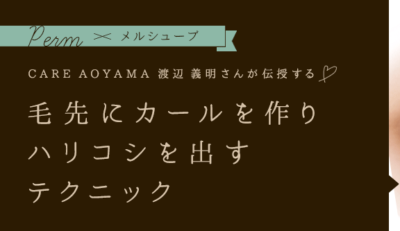 Permߥ륷塼 CARE AOYAMA   ˥ϥꥳФƥ˥å