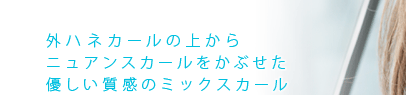 ϥͥξ夫˥奢󥹥򤫤֤ͥΥߥå