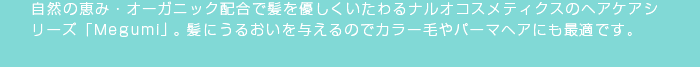 ηäߡ˥å۹ȱͥʥ륪ƥΥإ꡼Megumiסȱˤ뤪ͿΤǥ顼ӤѡޥإˤŬǤ
