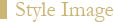 Style Image