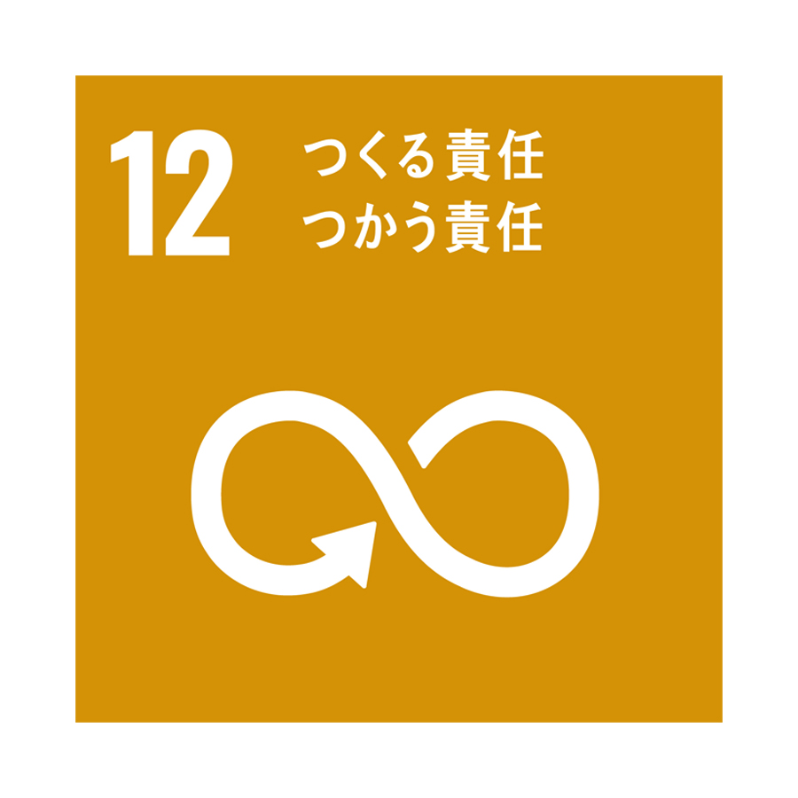 icon_SDGS12
