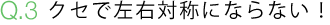 Q.3 ǺоΤˤʤʤ