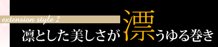 extension style 2 ۤȤɺ봬