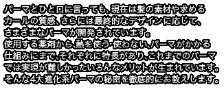 Afloat宮村浩気が徹底検証 ４つの進化系パーマ 進化系パーマ徹底検証 らしさ特集